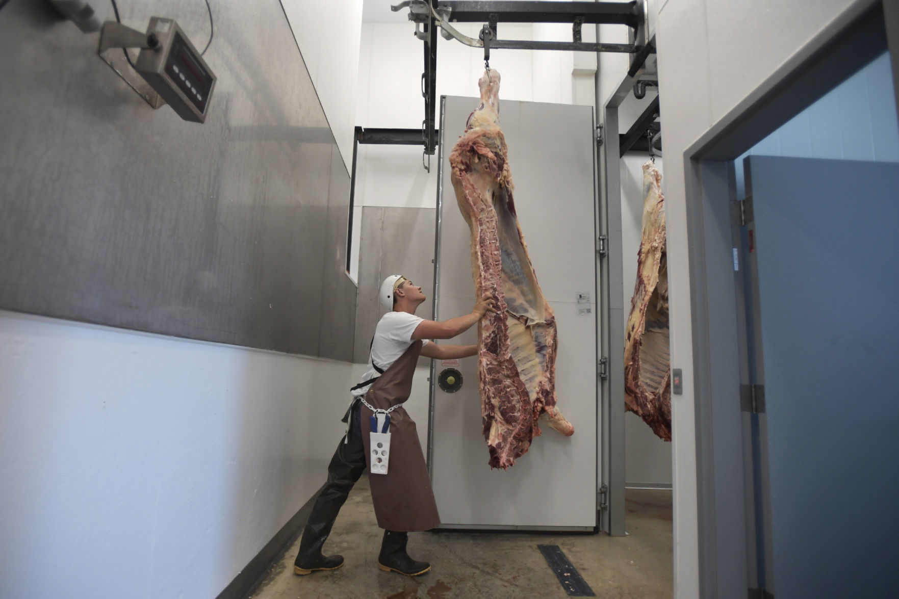 062319 meat lab-6-tm.jpg